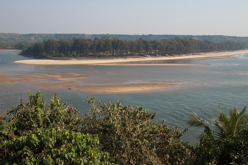 Goa Vibes gallery image 2