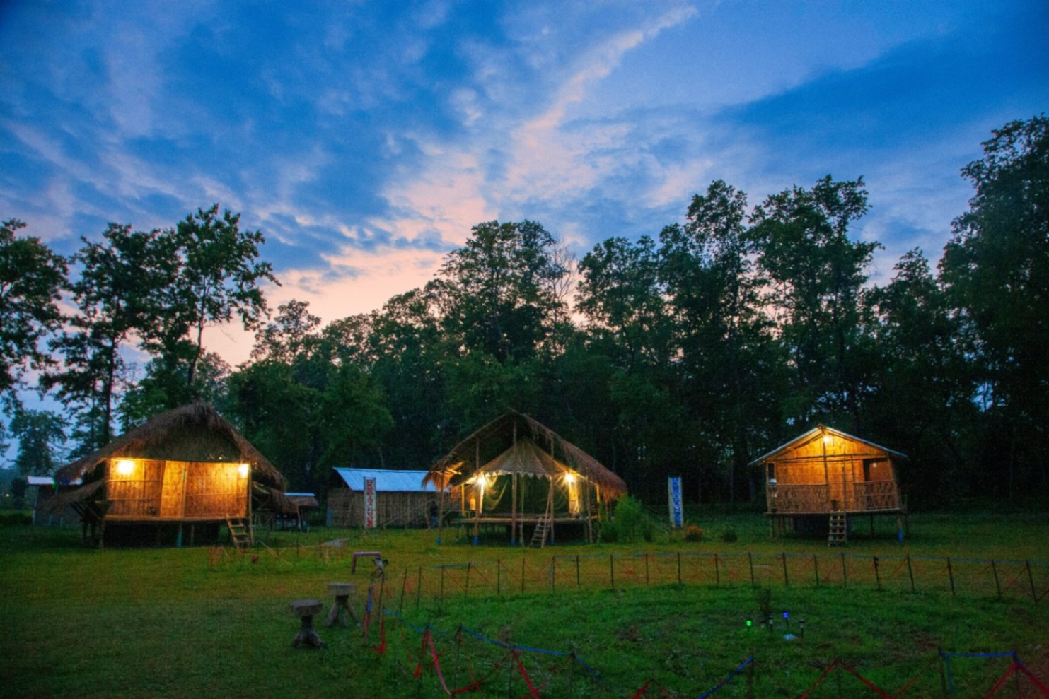 Assam Tea Gardens & More
